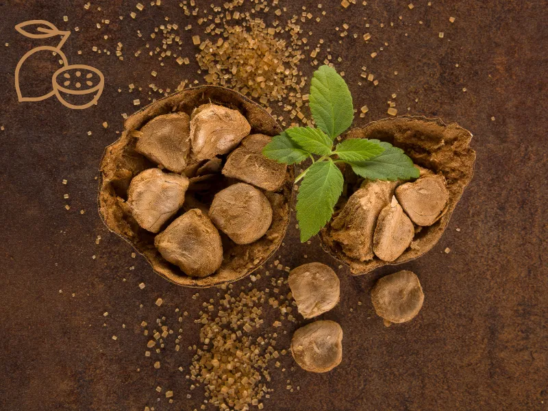 Monk fruit sweetener
