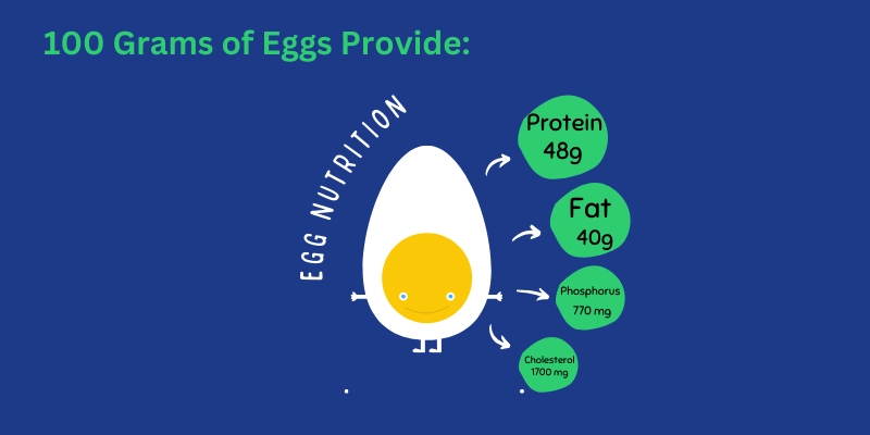 Nutritional breakdown of egg