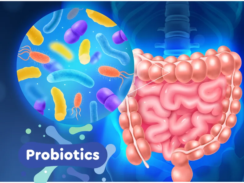Probiotics for gut health