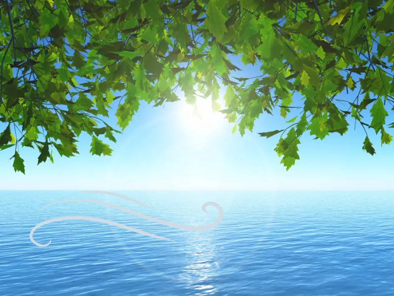 Sun, breeze, and water; nature’s happy team.